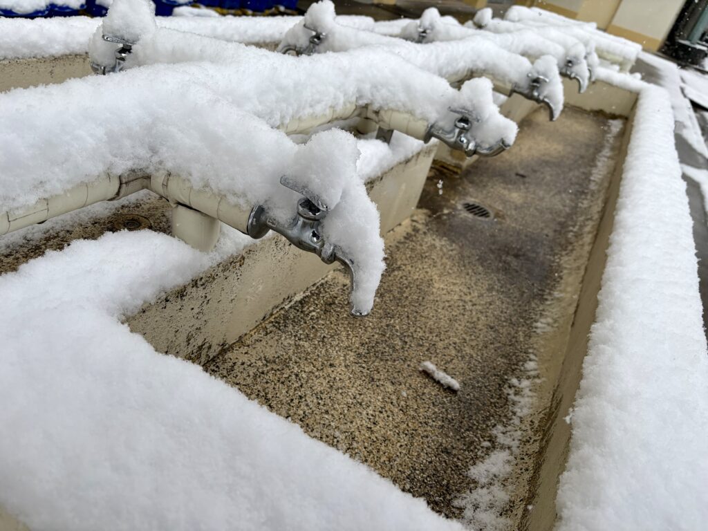 凍結した水道管