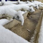 凍結した水道管